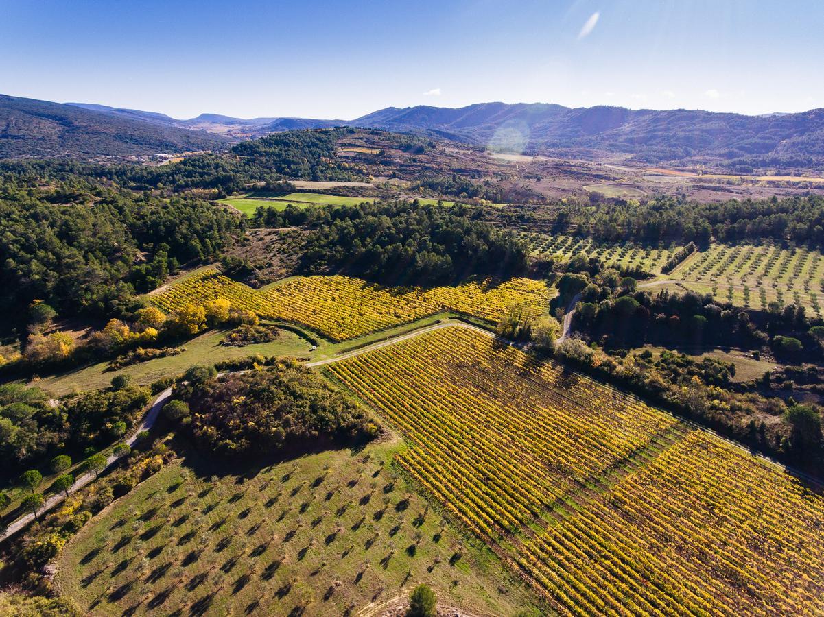 Domaine Calmel & Joseph Villa Montirat  Buitenkant foto