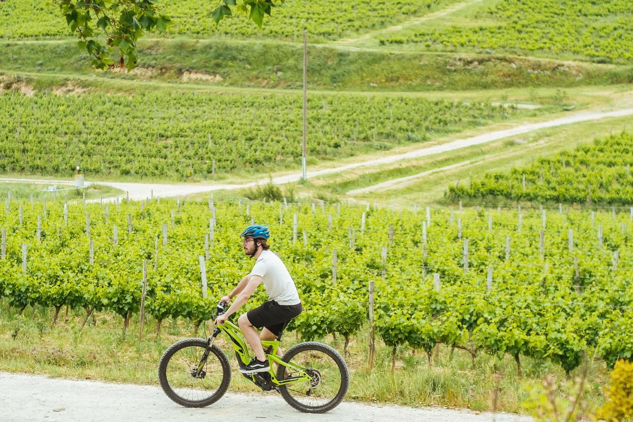 Domaine Calmel & Joseph Villa Montirat  Buitenkant foto